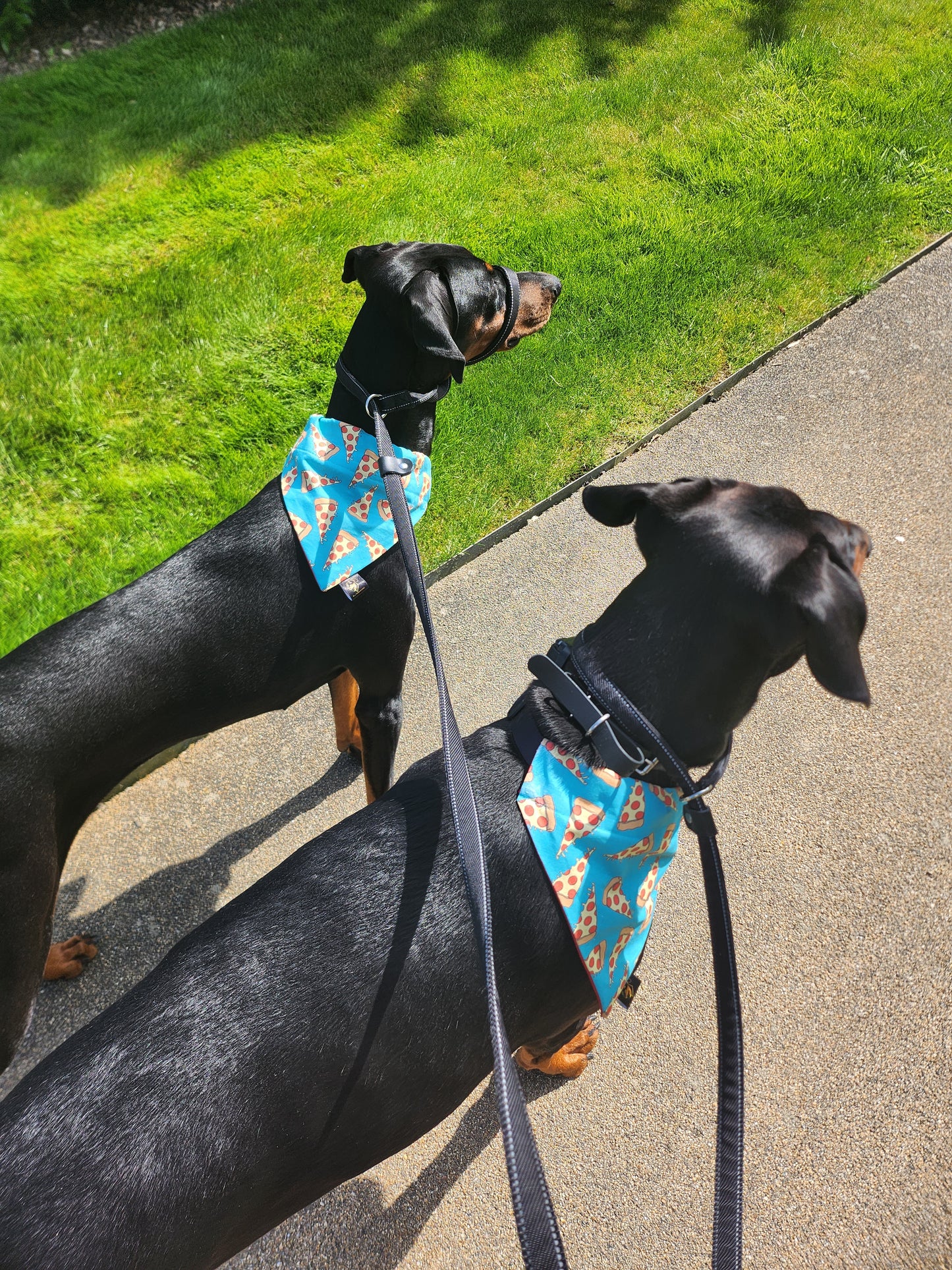 Antique Design Personalised Dog or Cat Bandana made to order